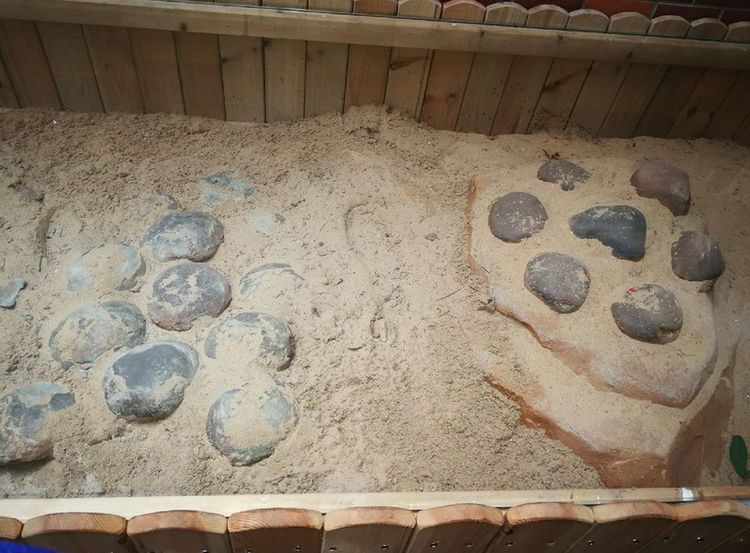 image033.jpg image033.jpg